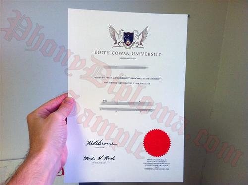 Buy mba papers